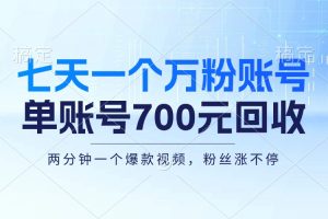 (13062期)七天一个万粉账号,新手小白秒上手,单账号回收700元,轻松月入三万+