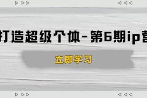 （14014期）打造 超级个体-第6期ip营：商业认知,产品设计,成交演练,解决知识变现难题