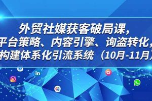（16786期）外贸 社媒获客破局课，平台策略、内容引擎、询盘转化，构建体系化引流系统（10月-11月）