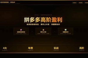 (17779期)拼多多高阶盈利年费会员:全类目活动玩法、原价上大促、洗图防比价等核心盈利技术(更新26年3月)