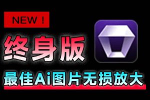 （19679期）Win/Mac双端支持！最新永久终身版，支持老照片修复，图片变清晰无损放大工具，Aiarty Image Enhancer